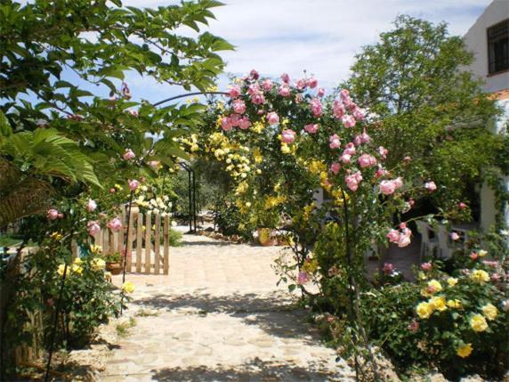 Casas Rurales Cazorla-Alcón Pozo Alcón Quarto foto